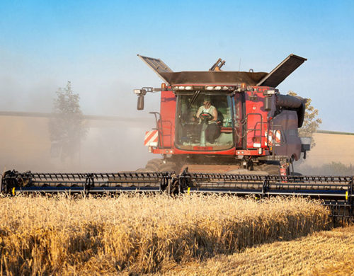 Agriculture Miracle you Don’t Know About